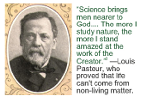 Picture of Louis Pasteur Picture of Louis Pasteur