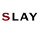 Picture of SLAY Logo